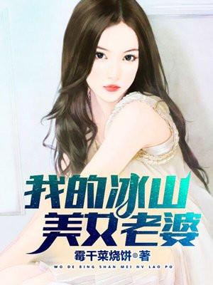 我的冰山美女老婆在线观看免费