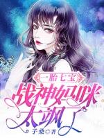 一胎七宝慕