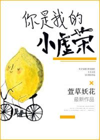 你是我的小虚荣萱草妖花免费阅读