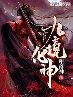 九境是什么意思