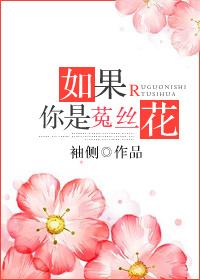 如果你是菟丝花 袖侧讲的什么故事