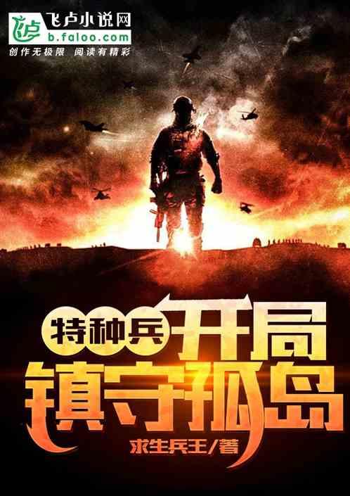 特种兵开局镇守孤岛丁辰目录