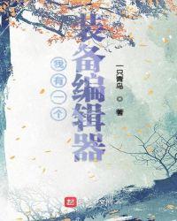 我有一个装备编辑