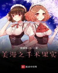 美漫之手术果实防盗