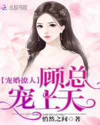宠婚缠绵顾少