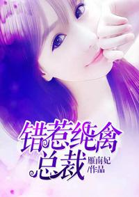 错惹首席总裁