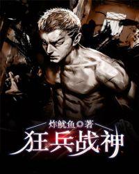狂兵战神叶辰林冰全文免费阅读正版