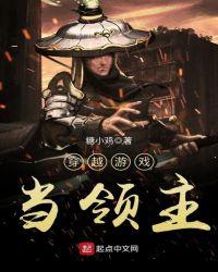 穿越当领主类