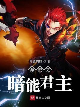 海贼之暗能君主TXT