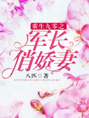 重生九零之军长俏军妻百度