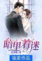 暗里着迷是哪个电影主题曲