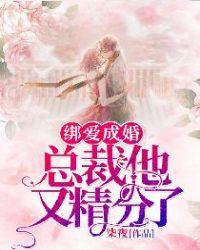 绑爱成婚总裁他又精分了书评