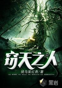 窃天书二