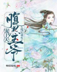 腹黑王爷宠上天陆倾城重生