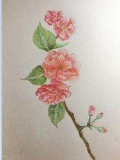 弃女仙路顾承天是谁