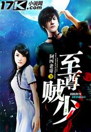 至尊贼少txt