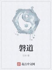 磐道实业(上海)有限公司