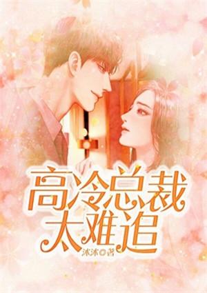 总裁你真的好难追