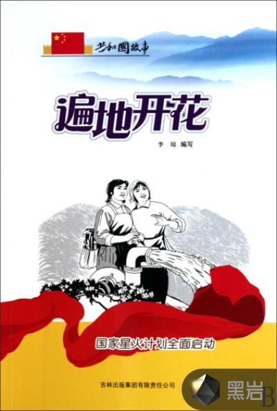 “星火计划”是我国政府为促进哪里发展而定制的?