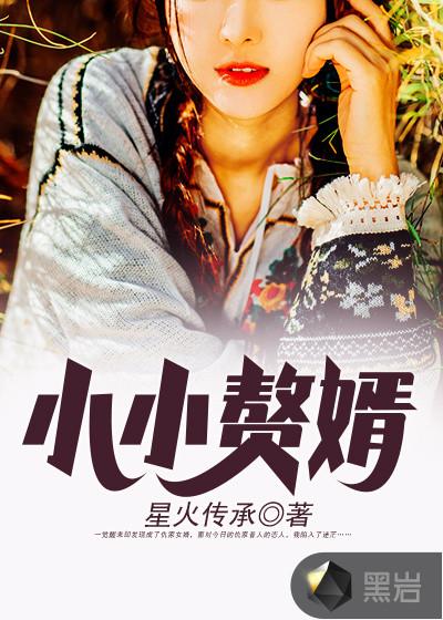 小小赘婿免费