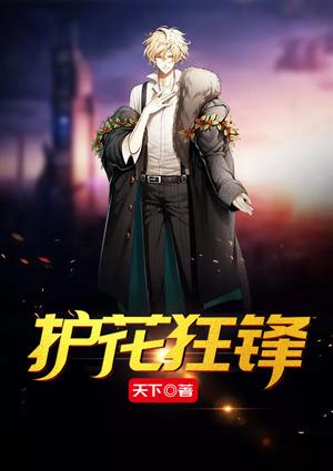 女神的护花狂兵