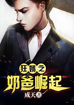 狂婿归来当奶爸