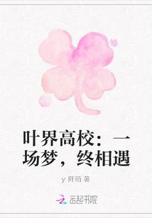叶界茶叶价格