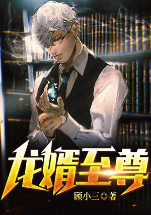 龙婿至尊免费