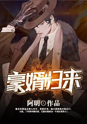 豪婿归来剧情介绍