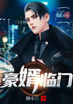 豪婿临门免费全文阅读