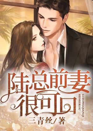 陆总裁的前妻黎璃