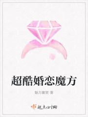 婚恋魔方公司简介