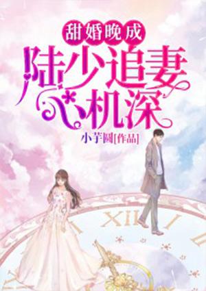 晚婚晚成陆少追妻心机深