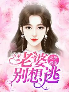 老婆别想逃免费阅读