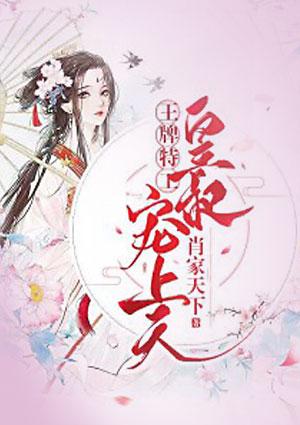 王牌特工言情