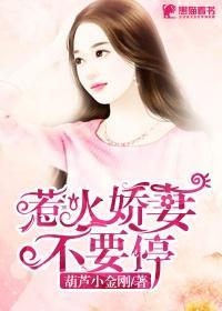 甜妻别惹我txt
