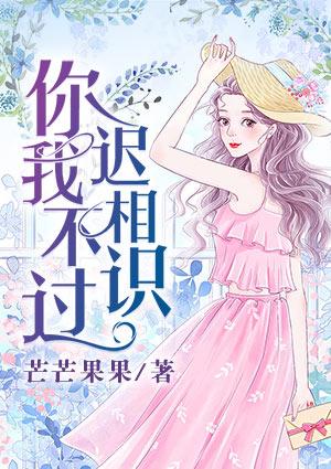 你我相识太晚