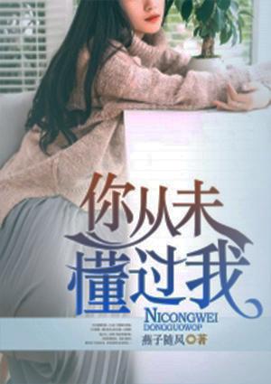 你从来没懂过我的句子