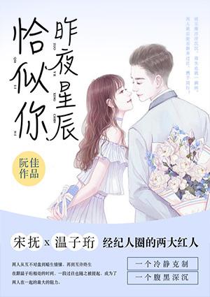 昨夜星辰恰似你快穿免费阅读
