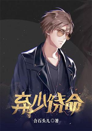 弃少排行榜完本