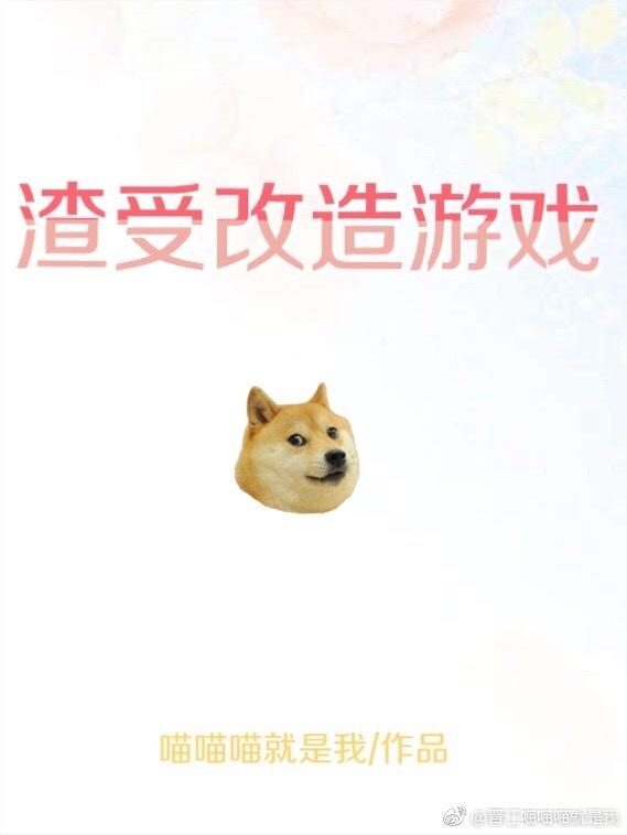 渣受改造游戏