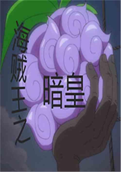 海贼王之暗皇盗版