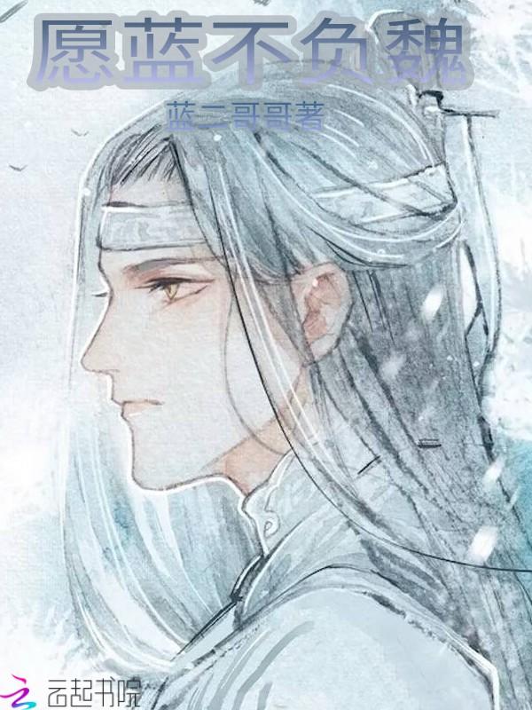愿不负卿下一句