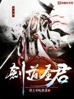 剑道圣君动漫在线观看