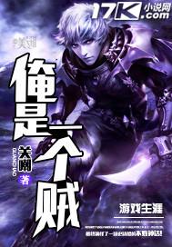 俺是一个贼这本完结了吗