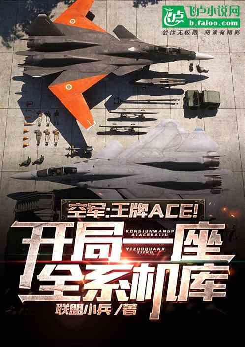 空军王牌ace!开局一座全系机库联盟十九