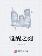 觉醒之石是什么