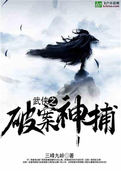 武侠之破案神捕盗版笔趣阁