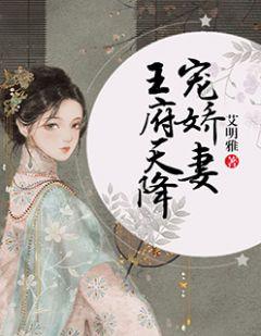 王府天降宠娇妻 艾明雅