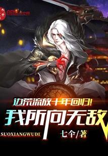 边荒传说免费全本
